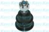 KAVO PARTS SBJ-6538 Ball Joint